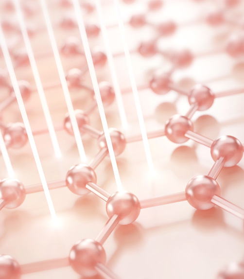 커스텀 튼살 센터