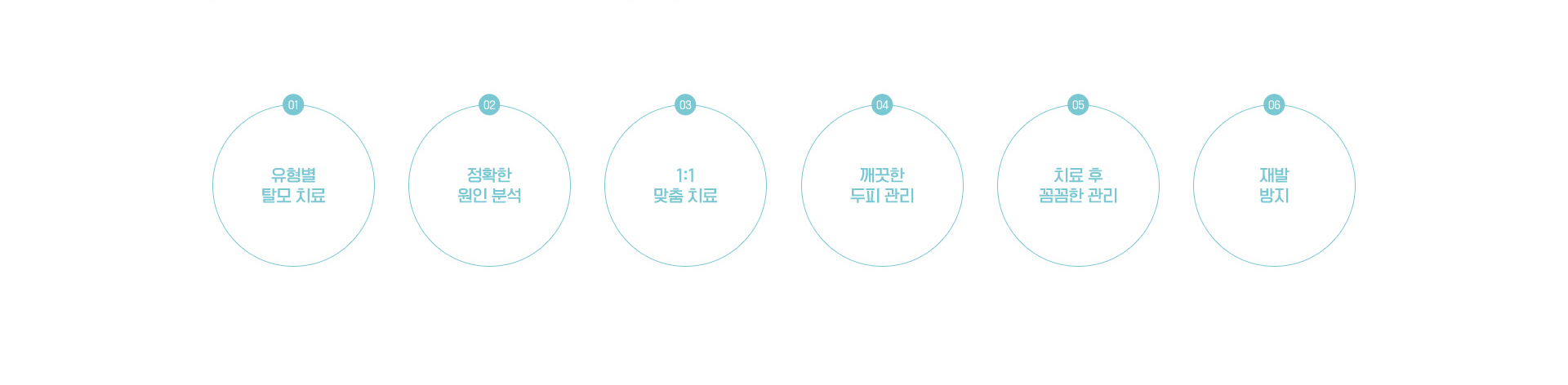 점점 빠지는 머리카락 탈모/지루두피염