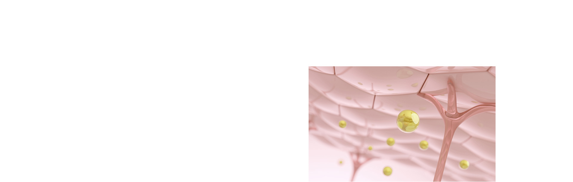 하안검수술 처진 눈에 탄력을!